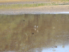 strunjan2018-097